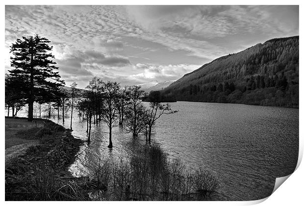 Loch Tay View - B&W Print by Tom Gomez