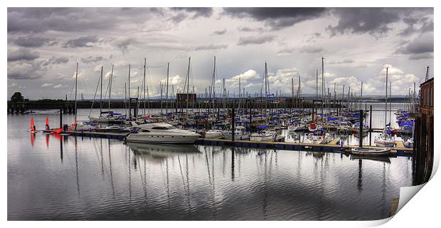 The Marina at South Queensferry Print by Tom Gomez