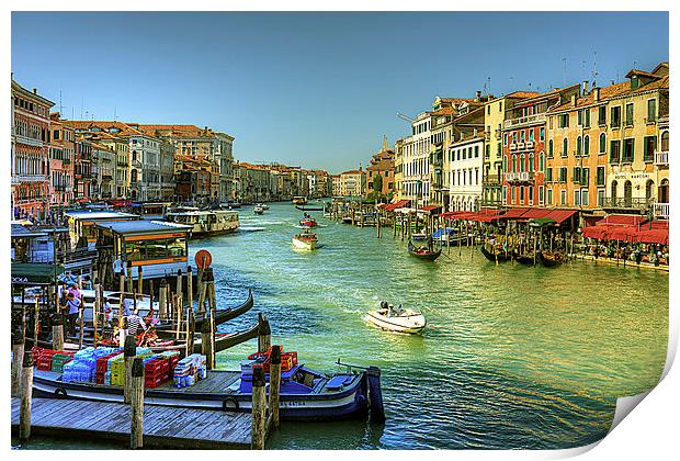 Life in Venice Print by Tom Gomez