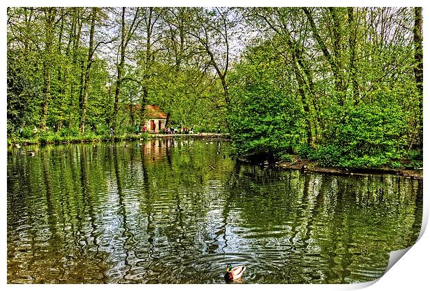 Thornton le Dale Duck Pond Print by Tom Gomez