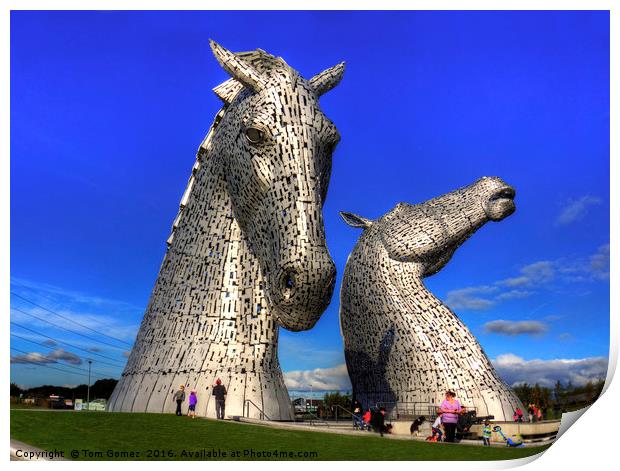 Kelpies at The Helix Print by Tom Gomez