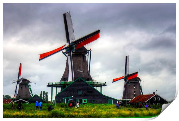 Windmills at Zaanse Schans Print by Tom Gomez