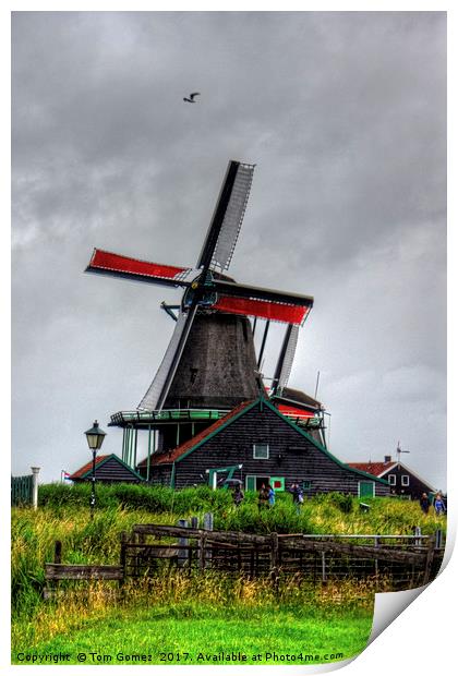 Dutch Windmill Print by Tom Gomez