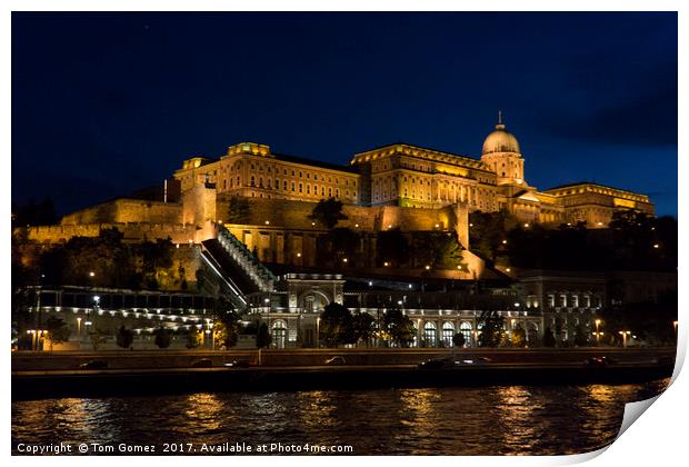 Buda Castle from the Danube Print by Tom Gomez