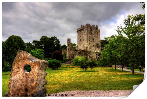 Blarney Castle and Grounds Print by Tom Gomez