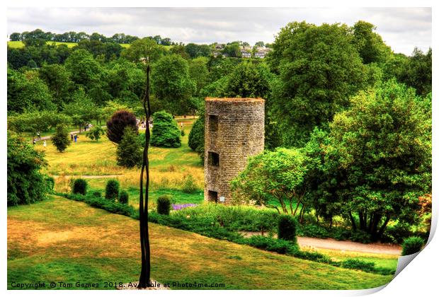 Blarney Castle Lookout Tower Print by Tom Gomez