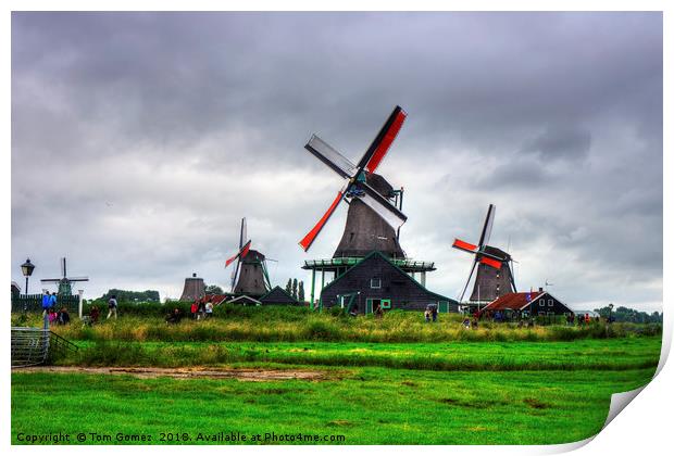 Zaanse Schans Windmills Print by Tom Gomez