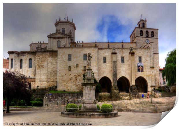 Santander Cathedral Print by Tom Gomez