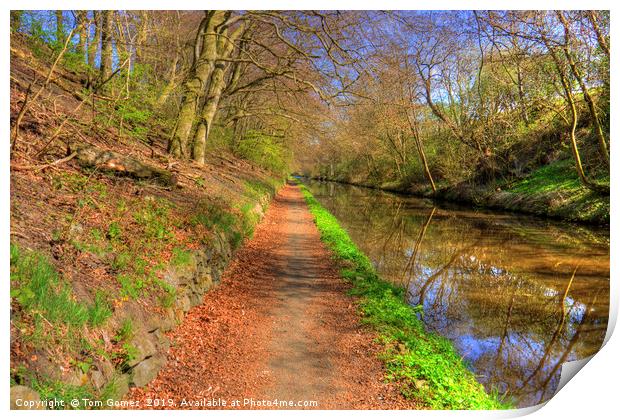 Towpath on the Union Canal Print by Tom Gomez