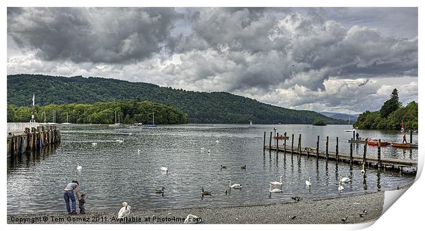 View over Windermere Print by Tom Gomez