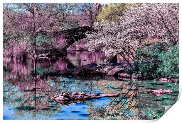 Springtime In Central Park Print by Chris Lord