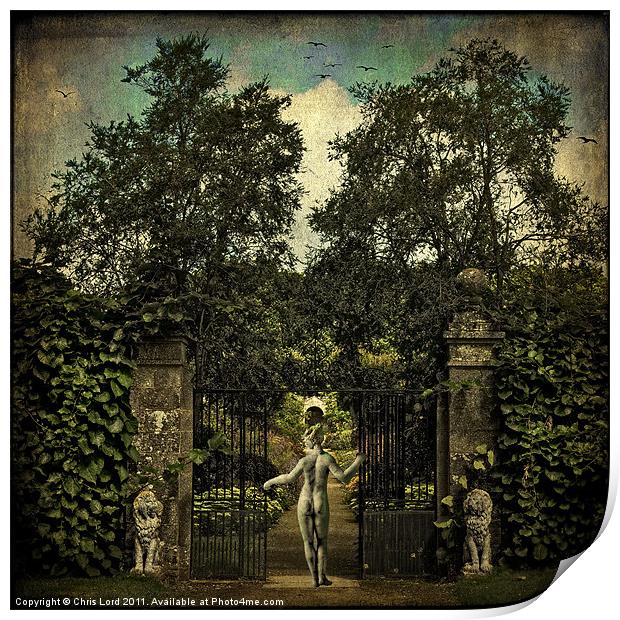 Hope Arrives At The Garden Gate Print by Chris Lord