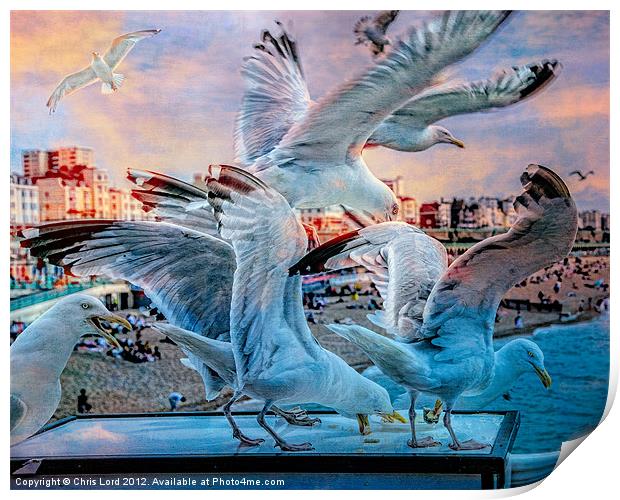 Seagulls on Brighton Pier Print by Chris Lord