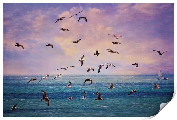 Gulls at Sunrise Print by Chris Lord