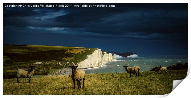  Four Sheep and Seven Sisters Print by Chris Lord