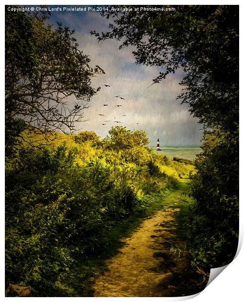  On The Path To The Sea Print by Chris Lord