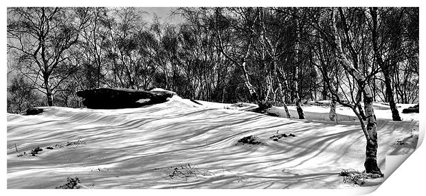 Shadows in the Snow Print by Stuart Hough
