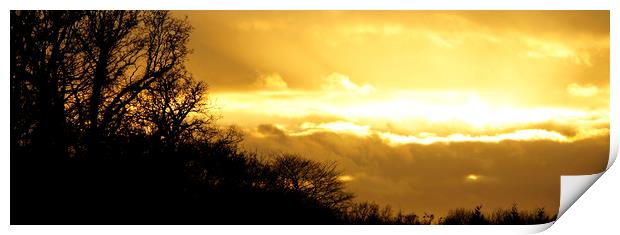 Last light at Nocton Woods Print by Karl Butler