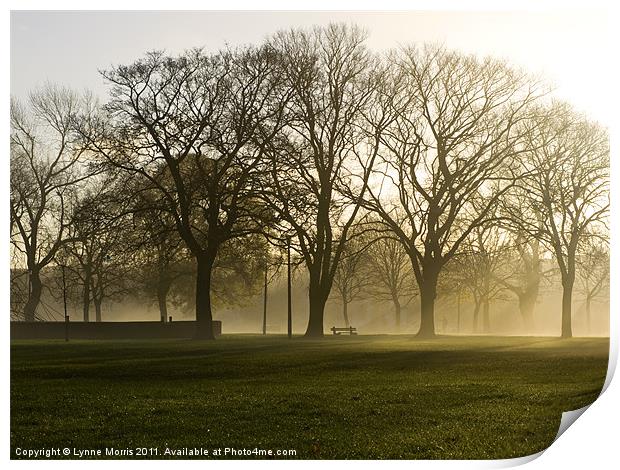 Misty Morning Print by Lynne Morris (Lswpp)