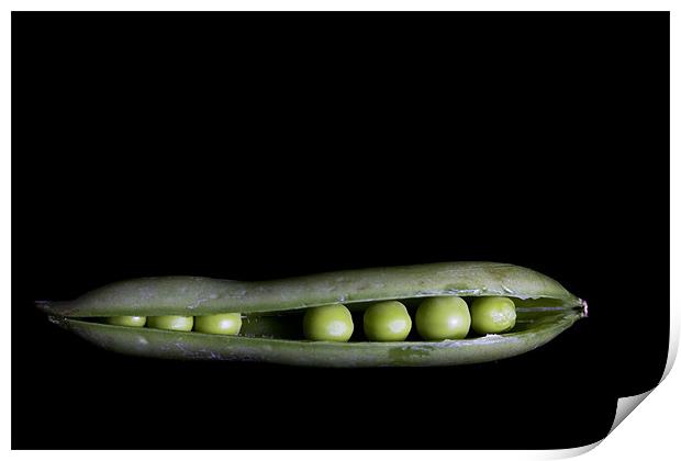 Peas In A Pod Print by Lynne Morris (Lswpp)