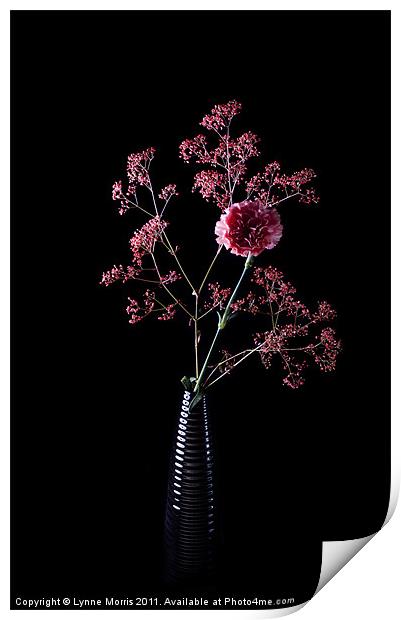 Pink And Black Print by Lynne Morris (Lswpp)