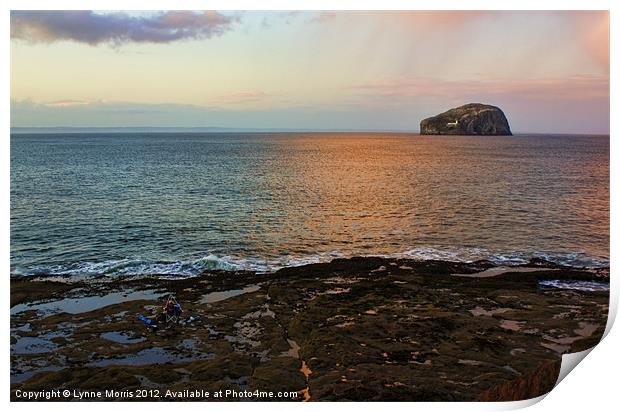 Sunset Over Bass Rock Print by Lynne Morris (Lswpp)