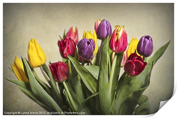 Colours Of Spring Print by Lynne Morris (Lswpp)
