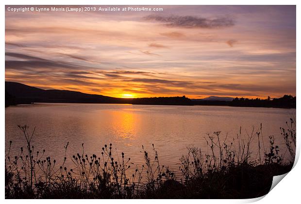 Tranquil Sunset Print by Lynne Morris (Lswpp)