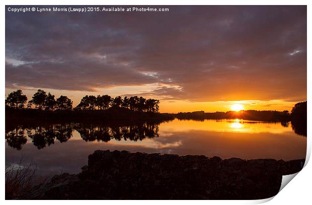 Summer Sunset  Print by Lynne Morris (Lswpp)