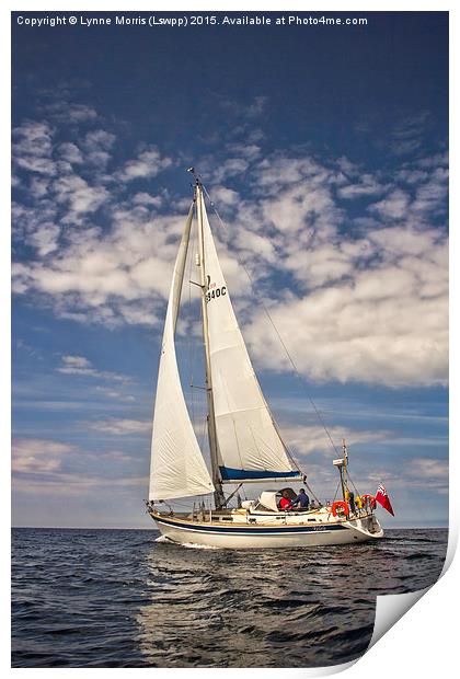  Life On The Ocean Wave Print by Lynne Morris (Lswpp)