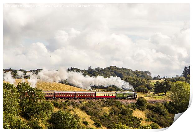  Just Steaming Along Nicely Print by Lynne Morris (Lswpp)