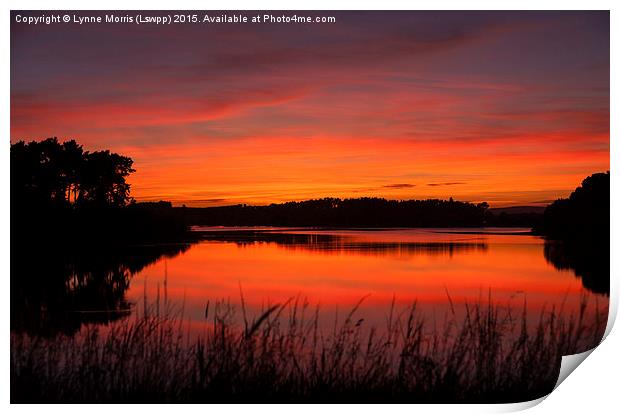  Red Sky At Night Print by Lynne Morris (Lswpp)