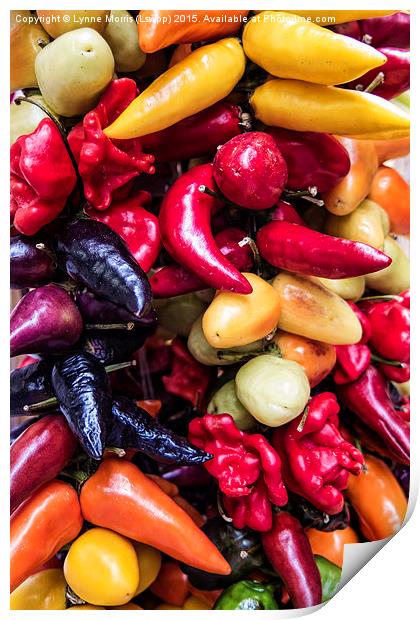  Mixed Peppers Print by Lynne Morris (Lswpp)