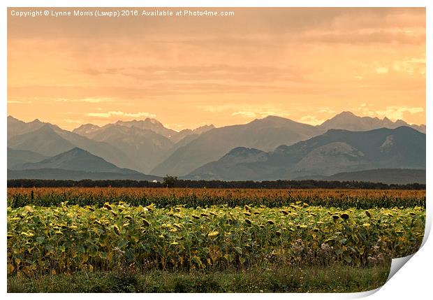  Sunset over the Pyrenees Print by Lynne Morris (Lswpp)