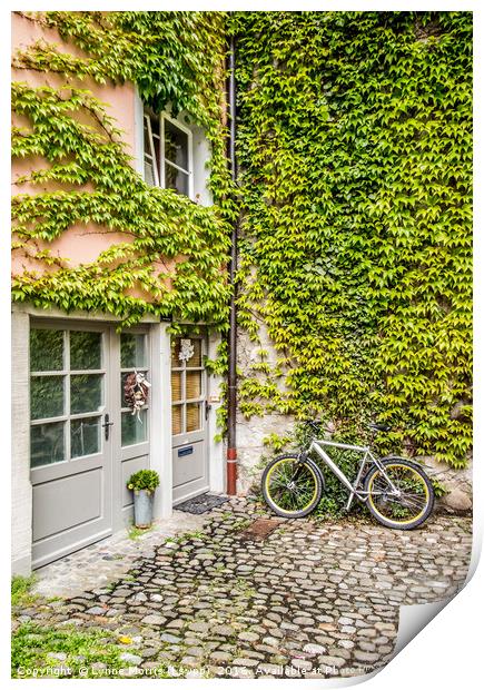 Bike and Ivy Print by Lynne Morris (Lswpp)