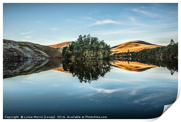 Reflections Print by Lynne Morris (Lswpp)