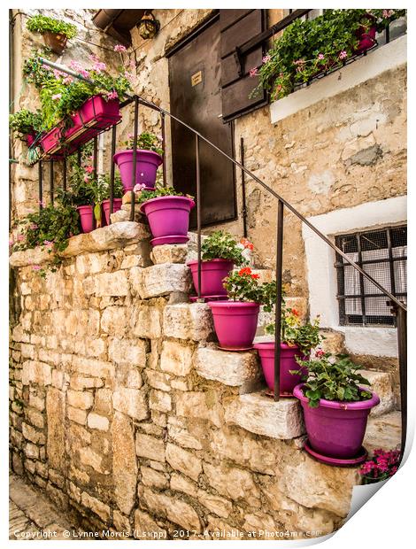 Plant pots and Stairs Print by Lynne Morris (Lswpp)