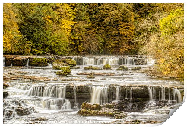 Aysgarth Falls in Autumn Print by Lynne Morris (Lswpp)