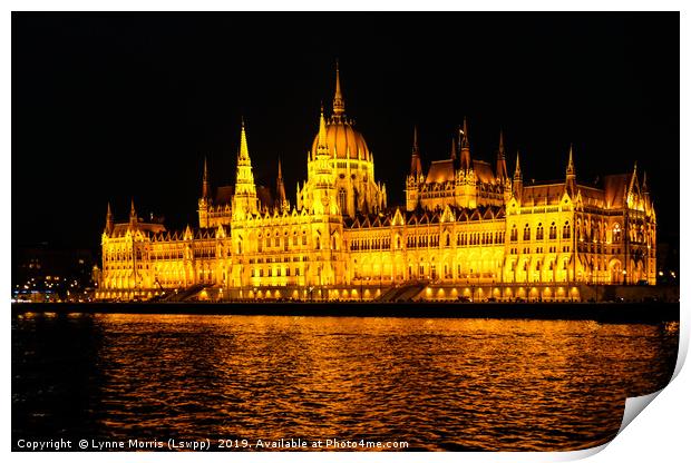 Budapet Parliament Buildings at night Print by Lynne Morris (Lswpp)