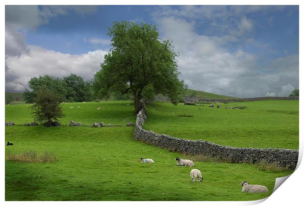 Malhamdale Print by Eddie John