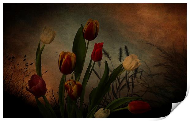  Tulips and grasses Print by Eddie John