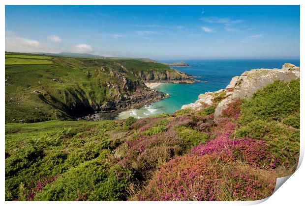 Pendour cove from the headland of Zennor cliffs Co Print by Eddie John