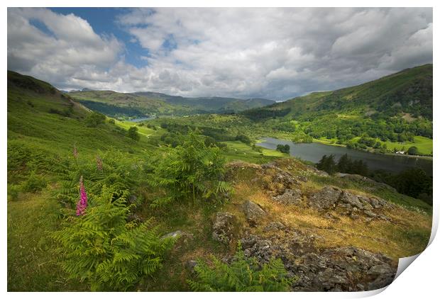 Loughrigg fell and rydal water Print by Eddie John