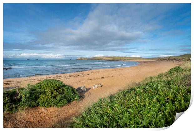 Constantine bay and trevose head cornwall  Print by Eddie John