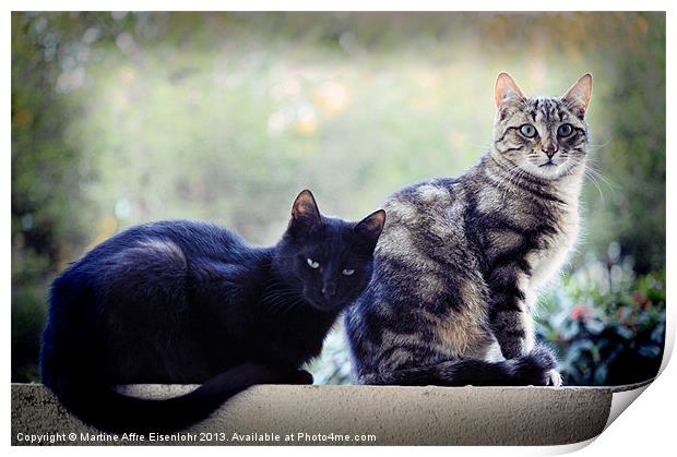 Cats postures Print by Martine Affre Eisenlohr