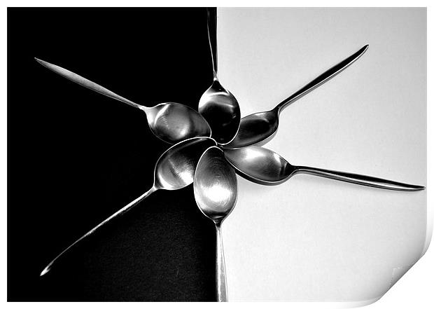 Spoons on Back & white - Still Life Print by Victoria Limerick