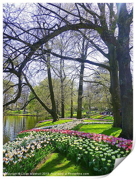 Keukenhof Park Print by Lilian Marshall