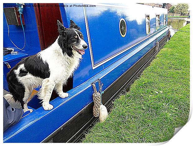  Collie aboard a barge. Print by Lilian Marshall