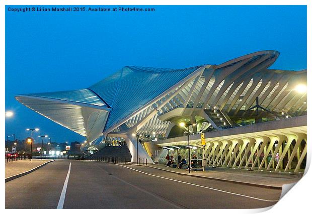  Liege Guillemins Station  Print by Lilian Marshall