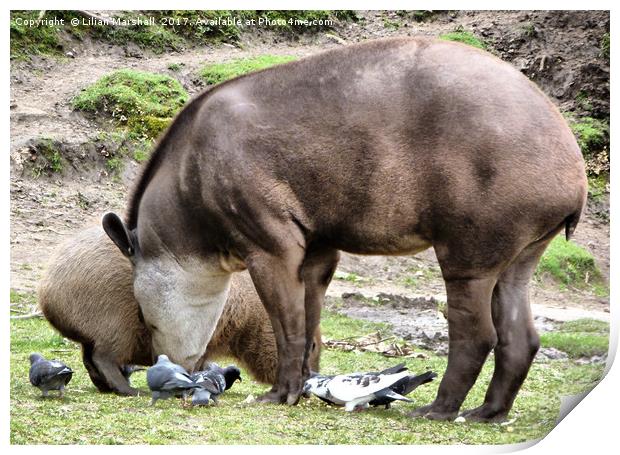 Sharing a meal. Print by Lilian Marshall